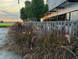 MostPopular!!! Hay Cafe TranquilFields - OnlyYou with Hay, Rentable For Event - Sekinchan - 2