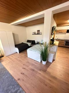 FEWO Sternen - Donaueschingen - 7