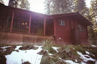 Cedar at Rainier Lodge (0.4 m from Mt.Rainier) - Ashford - 7