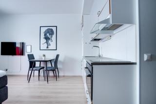 Lapin Loiste 1, Modern studio, Free Parking and Wifi - Rovaniemi - 1