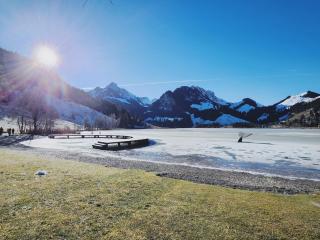 Pension fein & sein - 6