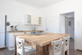 Urige Wohnung mit zwei Betten und genialer Küche - Mügeln - 9