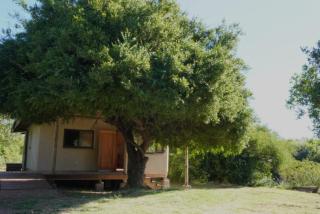 Citrino - Alojamiento Responsable en la naturaleza - Bella Vista - 3