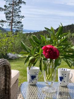 Cabin near Pulpit Rock - Strand - 8