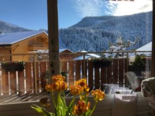 Appart entre lac et montagne - Saint-Jean-de-Sixt - 3