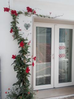 Radici nel Cuore - 3