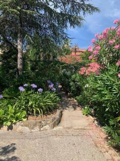 Appartement dans maison, jardin et piscine privés - Antibes - 5