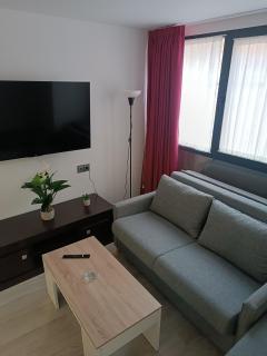 Apartamentos turisticos Ávila Puerta de San Isidro 1-4 - Ávila - 6