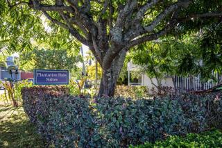 Lovely 1 bedroom with kitchen, free wifi & parking - Kapaa - 5