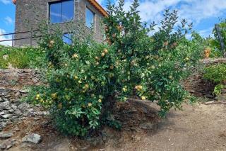 Quinta do Casal Bystol, Casa 1 - 2