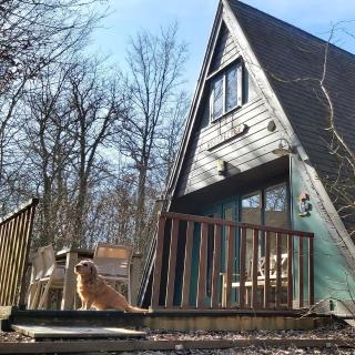 Woodpecker - bungalow 29 - Durbuy - 9