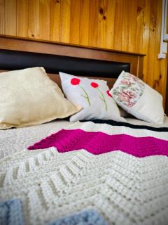 EL TEJUELERO Centro de Hornopirén y a Pocos Pasos de la Plaza - 9