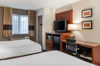 Comfort Inn University - Amherst - 7