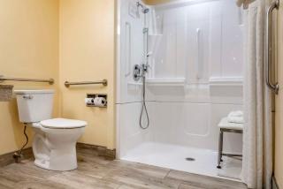 Comfort Inn University - Amherst - 3