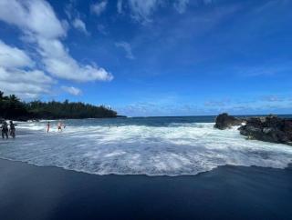 Eco-Farm Tropical Modern Loft - Pahoa - 9