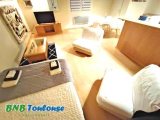 ► BNB TOULOUSE ► Le Charmant Balmanais • Clim • Garage • 24/7 - Balma - 7