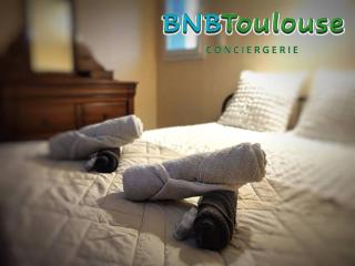 ► BNB TOULOUSE ► Le Charmant Balmanais • Clim • Garage • 24/7 - Balma - 5