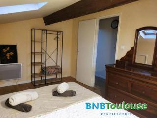 ► BNB TOULOUSE ► Le Charmant Balmanais • Clim • Garage • 24/7 - Balma - 2