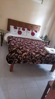 Departamento con área verde - Zacatlán - 3