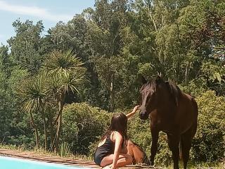 Posada A Viagem - Tandil - 6