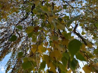 Sol i Neu - Encamp - 6