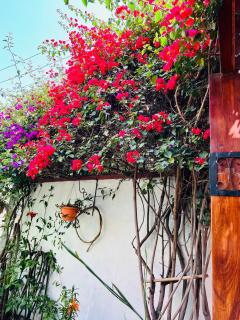 Apartamento entero en Sopocachi - La Paz - 4