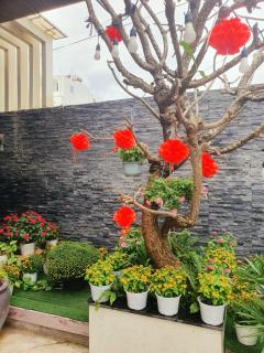 Animor Green Home Villa Da Nang - Da Nang - 5