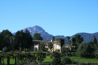 Finca Son Pont - 9