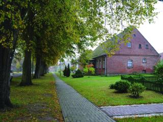 Ferienwohnung in der Mecklenburger Seenplatte - Buchholz - 6