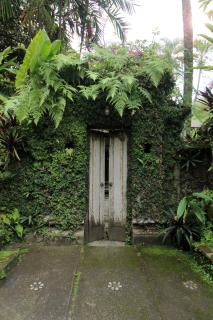 Tegal Sari Accommodation Ubud - Ubud - 1