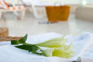 Leonardo Club Hotel Dead Sea - All Inclusive - 7