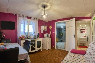Studio - Saint-Victor-de-Cessieu - 9