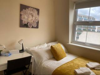 Private Rooms in Euston Square, Central London (161/4) - Londra - 6