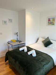 Private Rooms near Euston Station, Central London (123) - Londra - 7