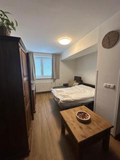 Apartment Mona Donovaly - 9