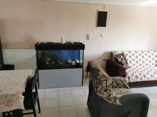 HOLIDAY KAVALA 2 - 2