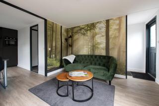 20, Nestled in the woods, Big Chalet and Garden! - Oisterwijk - 7