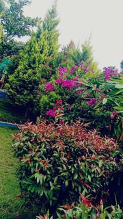 Serene Blossom Valley - Tenkasi - 8