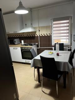 Mona Apartment Taxi#Airport #PARKING#BUCHAREST#THERME - Otopeni - 3