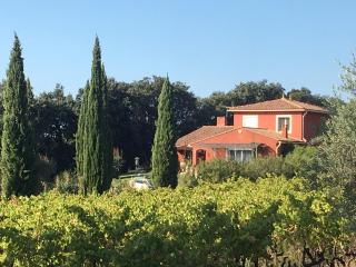 Domaine des Lavarines - Morières-lès-Avignon - 0