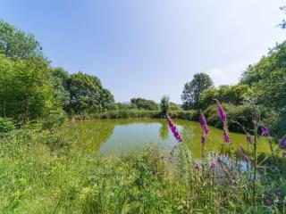 2 Bed in Merstone IC141 - - 1