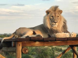 Weltevreden Game Lodge - Bloemfontein - 0
