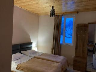 Tetne Qor Guesthouse - Mestia - 9