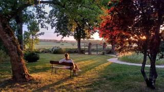 Le Manivert - Vitry-Laché - 2