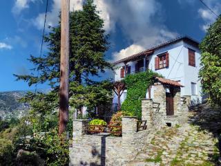 The View House Portaria Pelion - Portaria - 9