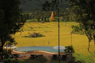 MAYURA BALI VILLA - Munduk - 5