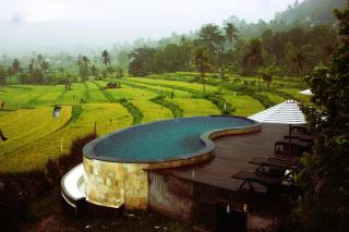 MAYURA BALI VILLA - Munduk - 2