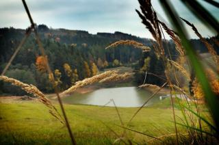 Penzion a restaurace U Nováků - 9