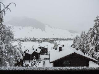 Silva: The Alpine Chalet - Livigno - 4