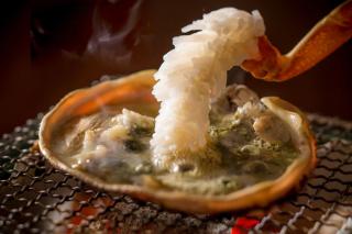 HOSHINO-OTOー星音 - 8